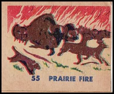 55 Prairie Fire